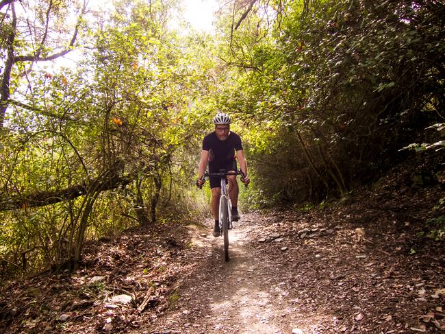 Atravesando un bosque