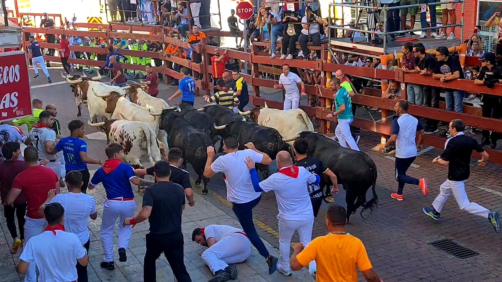 Cuarto encierro de las fiestas de San Sebastián de los Reyes 2023