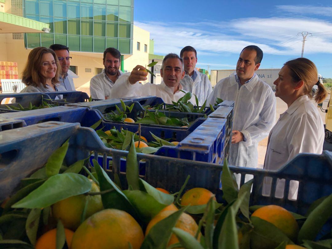 Miguel Barrachina de visita a una empresa de clementinas de Vila-real