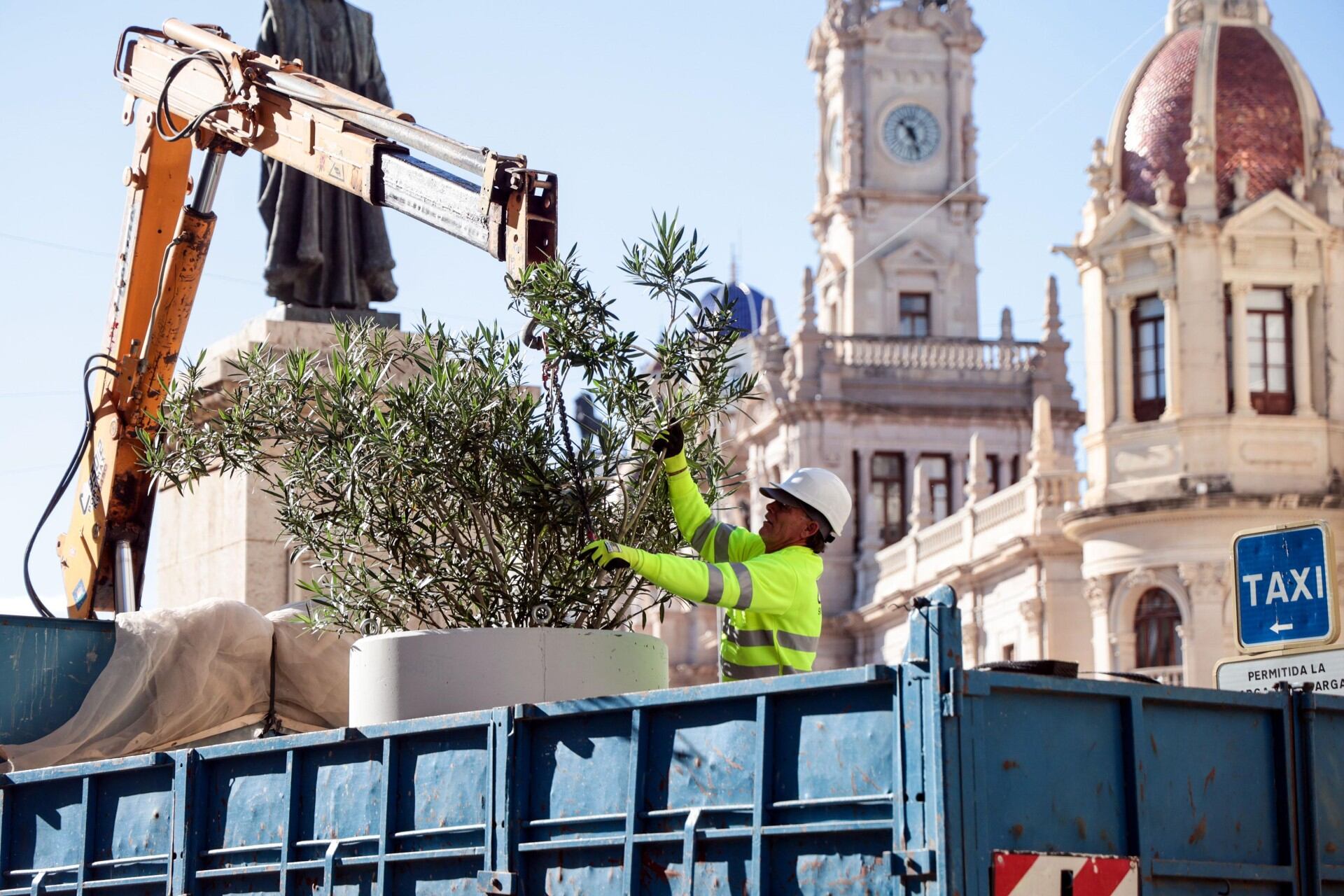 Nuevos maceteros de la plaza del ayuntamiento de València