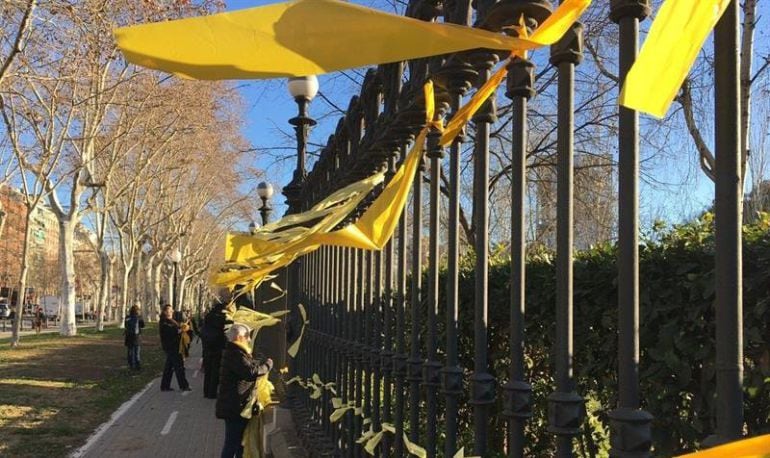 Lazos amarillos en un parque.