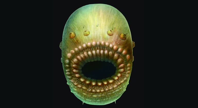 Reconstrucción artística del &quot;Saccorhytus coronarius&quot;, basada en los hallazgos fósiles originales. La criatura real medía probablemente no más de un milímetro, según publica la revista Nature. 
 
 