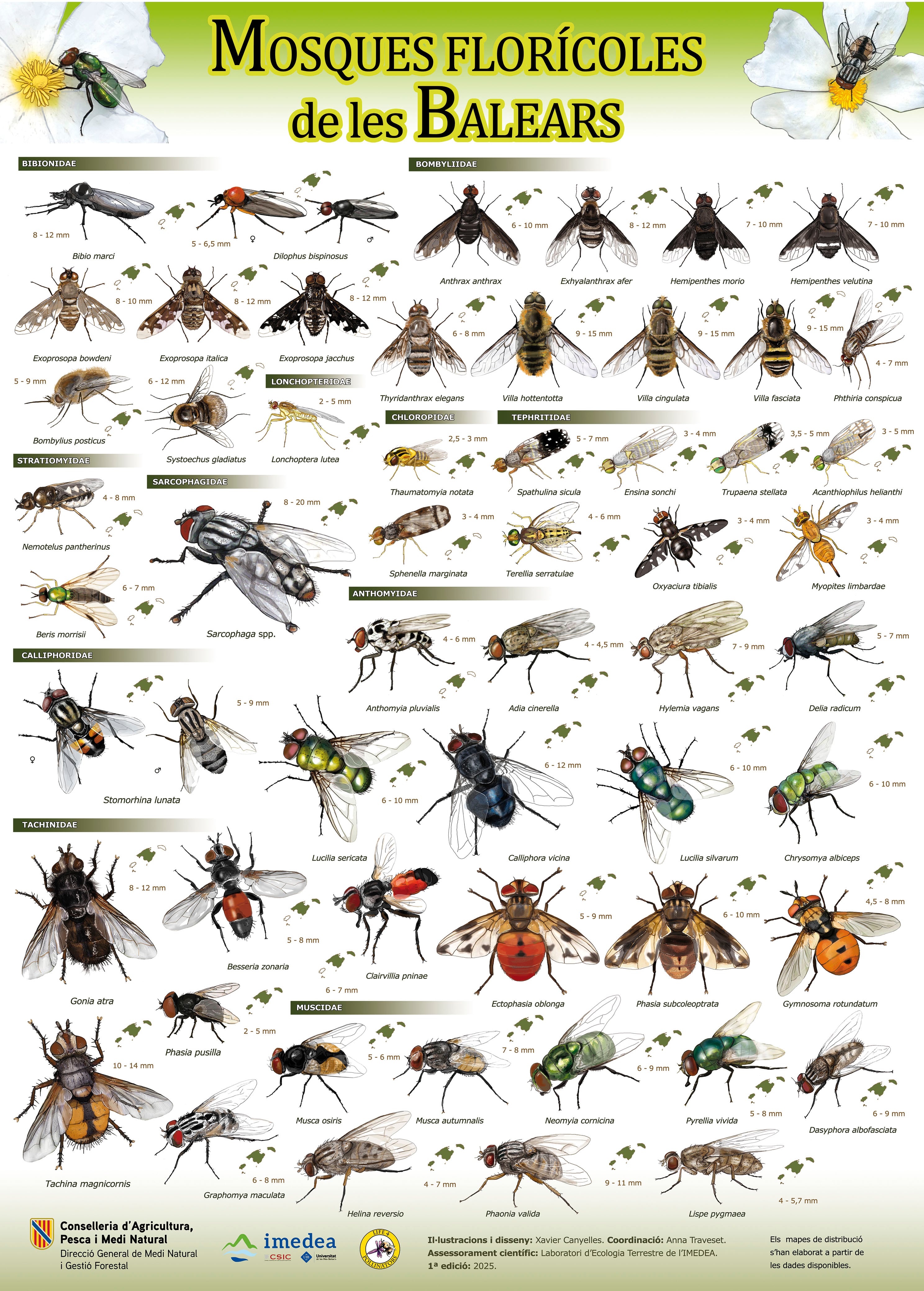 Imagen del catálogo