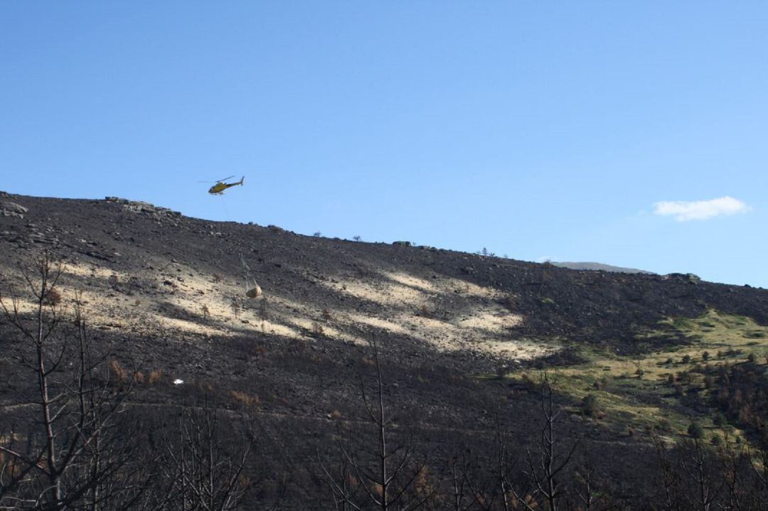 Trabajos de restauración en la sierra de Guadarrama