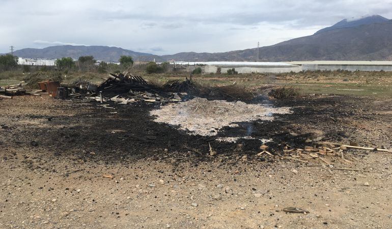 La leña del San Antón quedó reducida a cenizas.