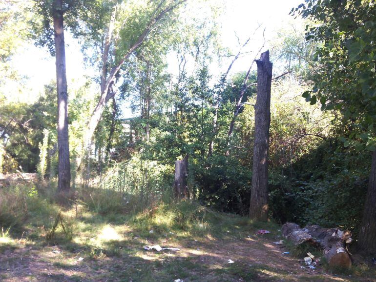 Estado que presenta el Carrión a su paso por Palencia