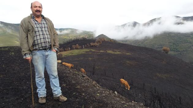 Abel López, ganadero de Vilar de Donís, en los Ancares de Lugo, pastoreando entre los pastos quemados