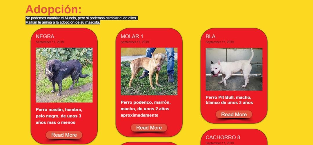 Cartel de &#039;Sanse adopta&#039;