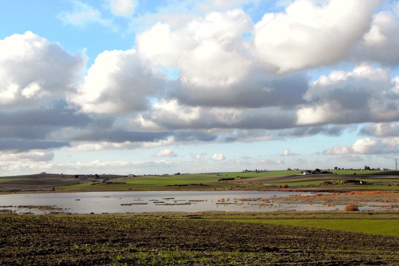 Recorrido por la Carrahola y la laguna de los Tercios en Jerez