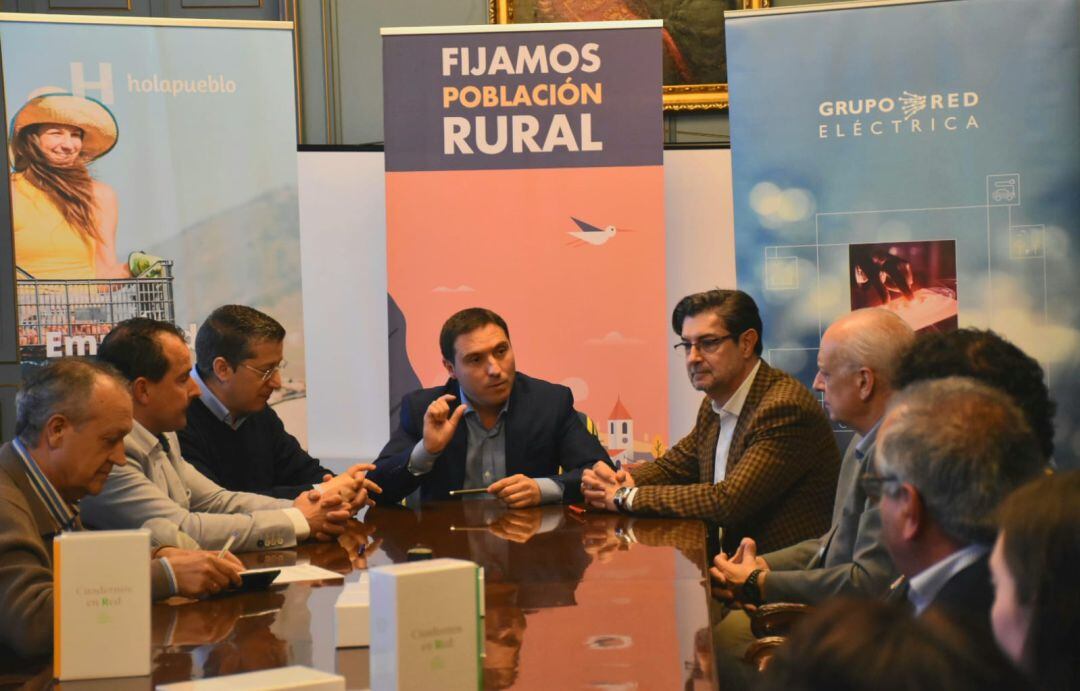 Responsables de Diputación, Red Eléctrica y Alma Natura se han reunido este viernes en el Palacio Provincial