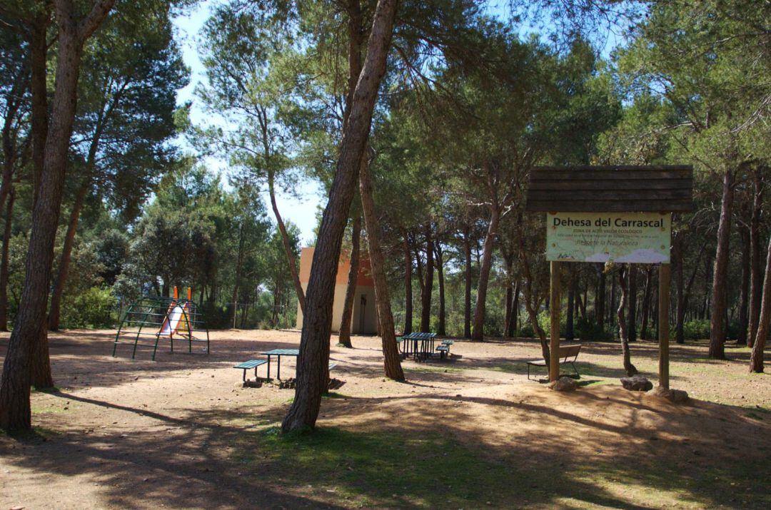 Dehesa El Carrascal de Arganda