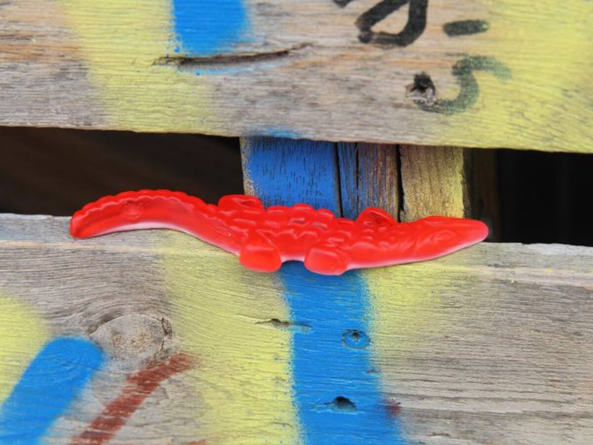 "Hemos creado un espacio por y para la cultura"