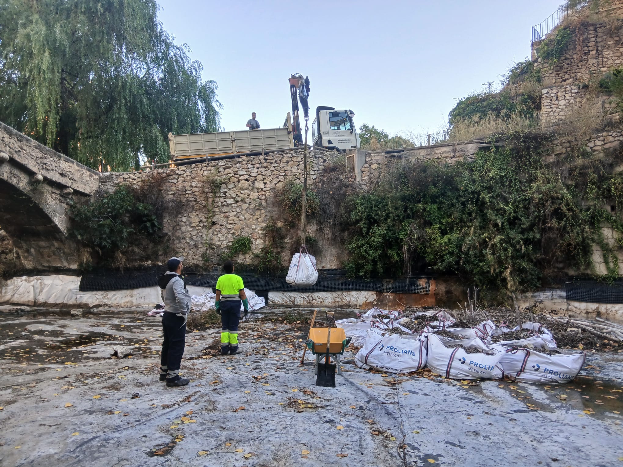 Limpieza estanque Buidaoli