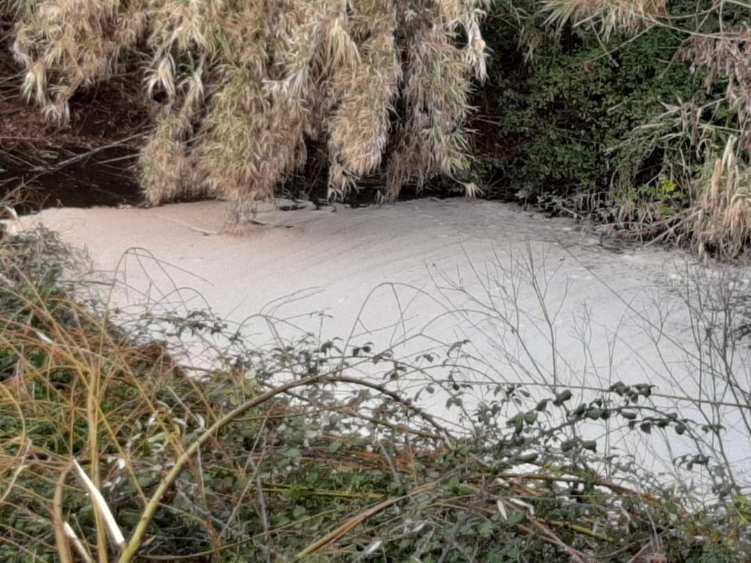 El vertido ha propiciado que aparezca espuma en una parte del río Guadiaro