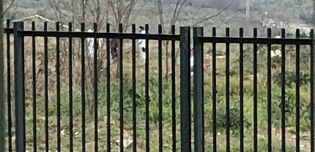 Terreno en el que se ha encontrado el cuerpo del joven fallecido en Jaén.