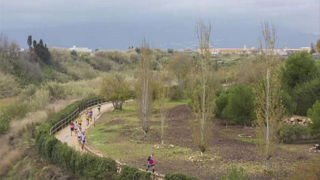 Anella verda de la ciudad de Gandia 