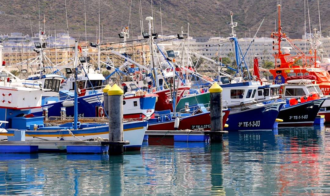 Pesqueros atracados a puerto