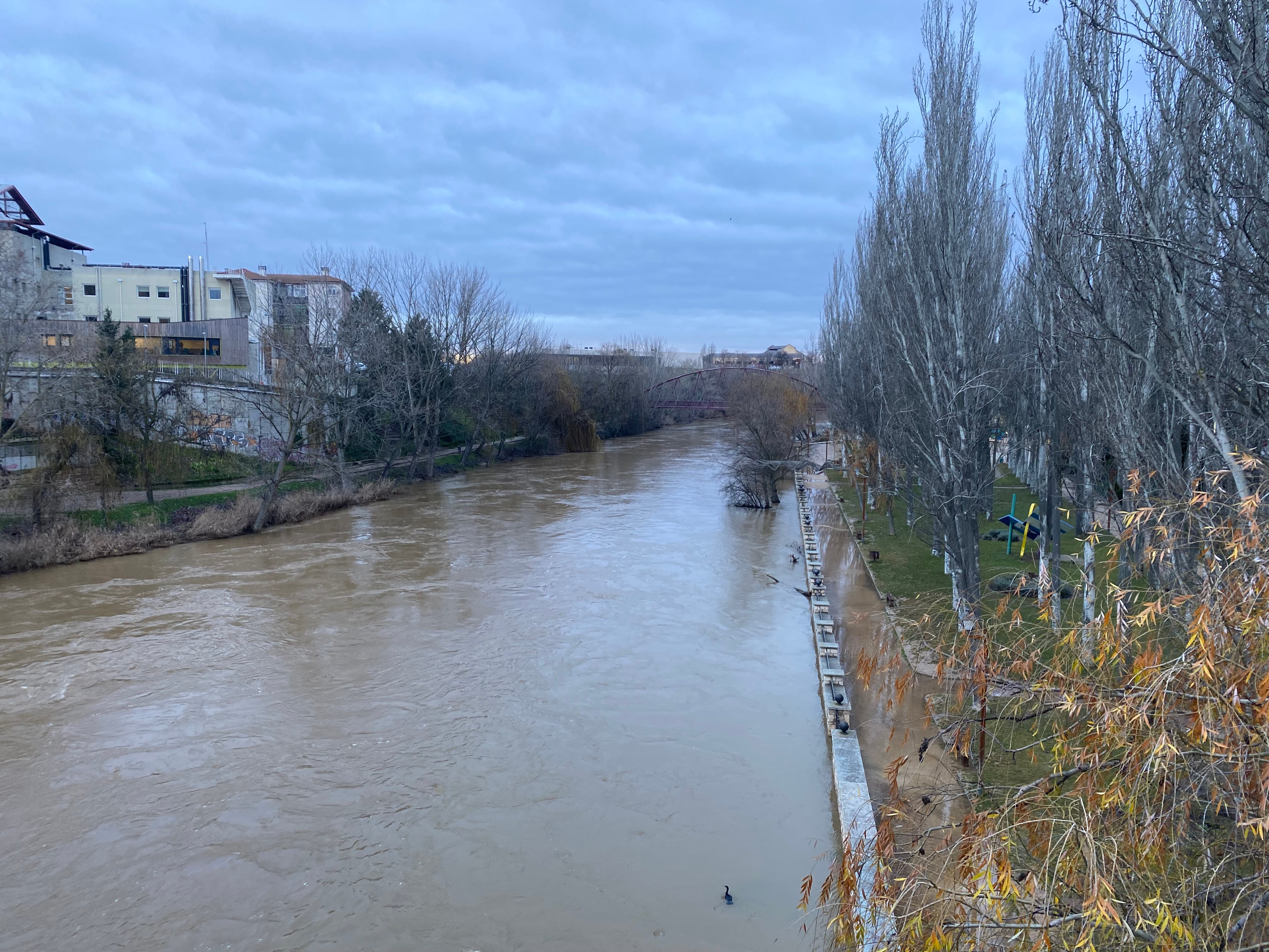 Río Duero este lunes a su paso por Aranda