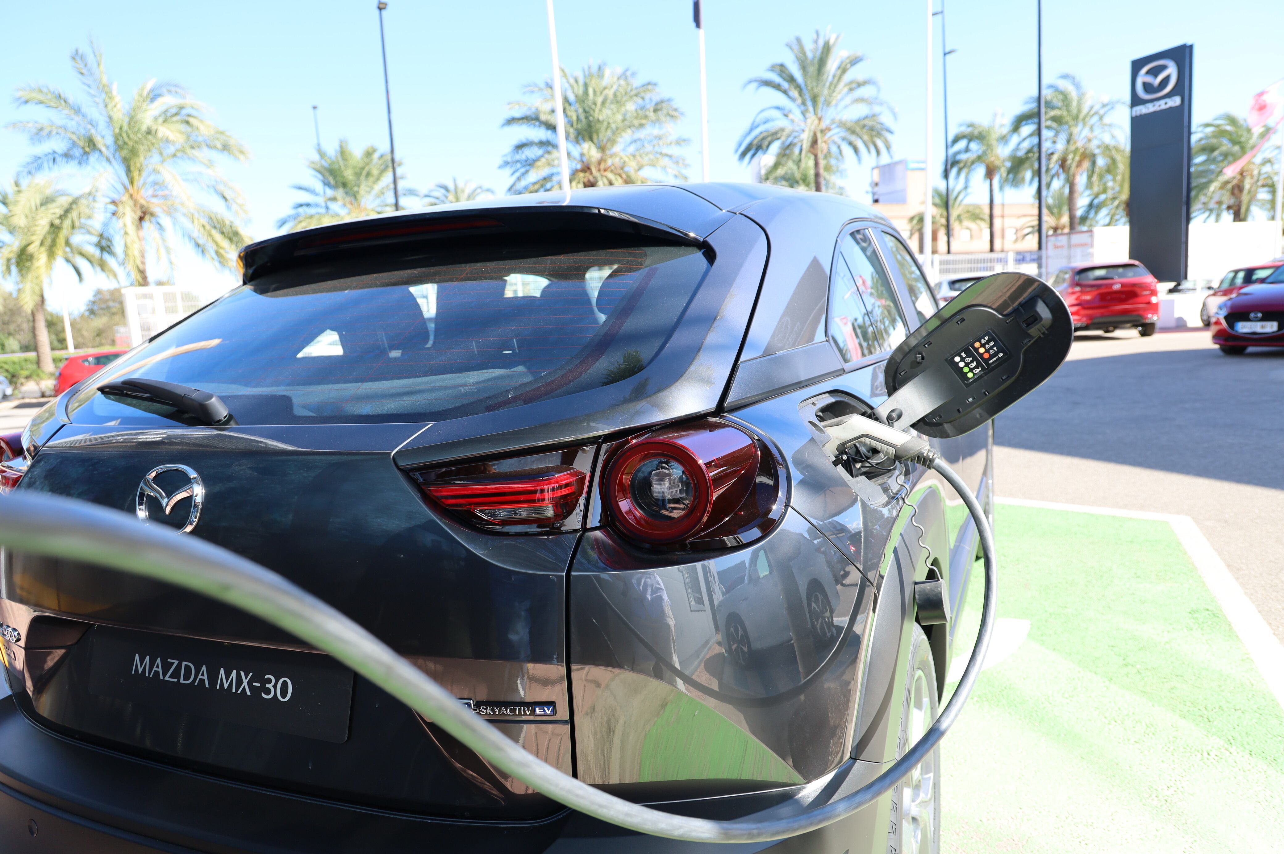 Punto de recarga de coches en Moll Motor.