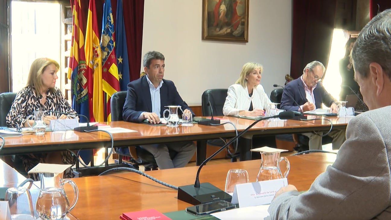 Pleno del Consell en Elche