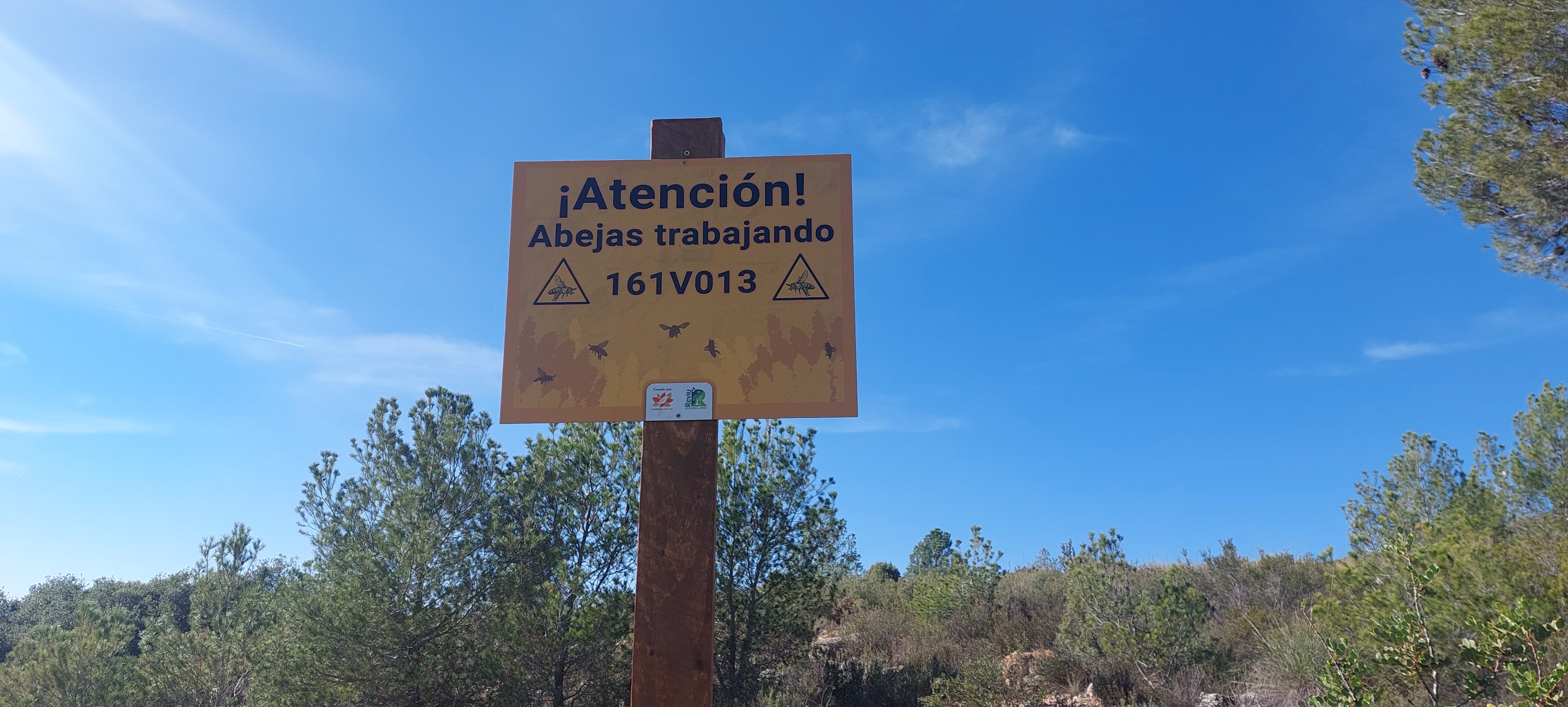 Apiario en  Vall de Almonacid 
 Escuela Rural Activa