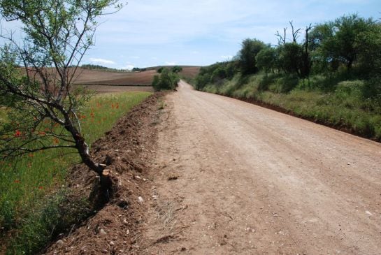 Vía pecuaria permitida para alta velocidad tras las obras.