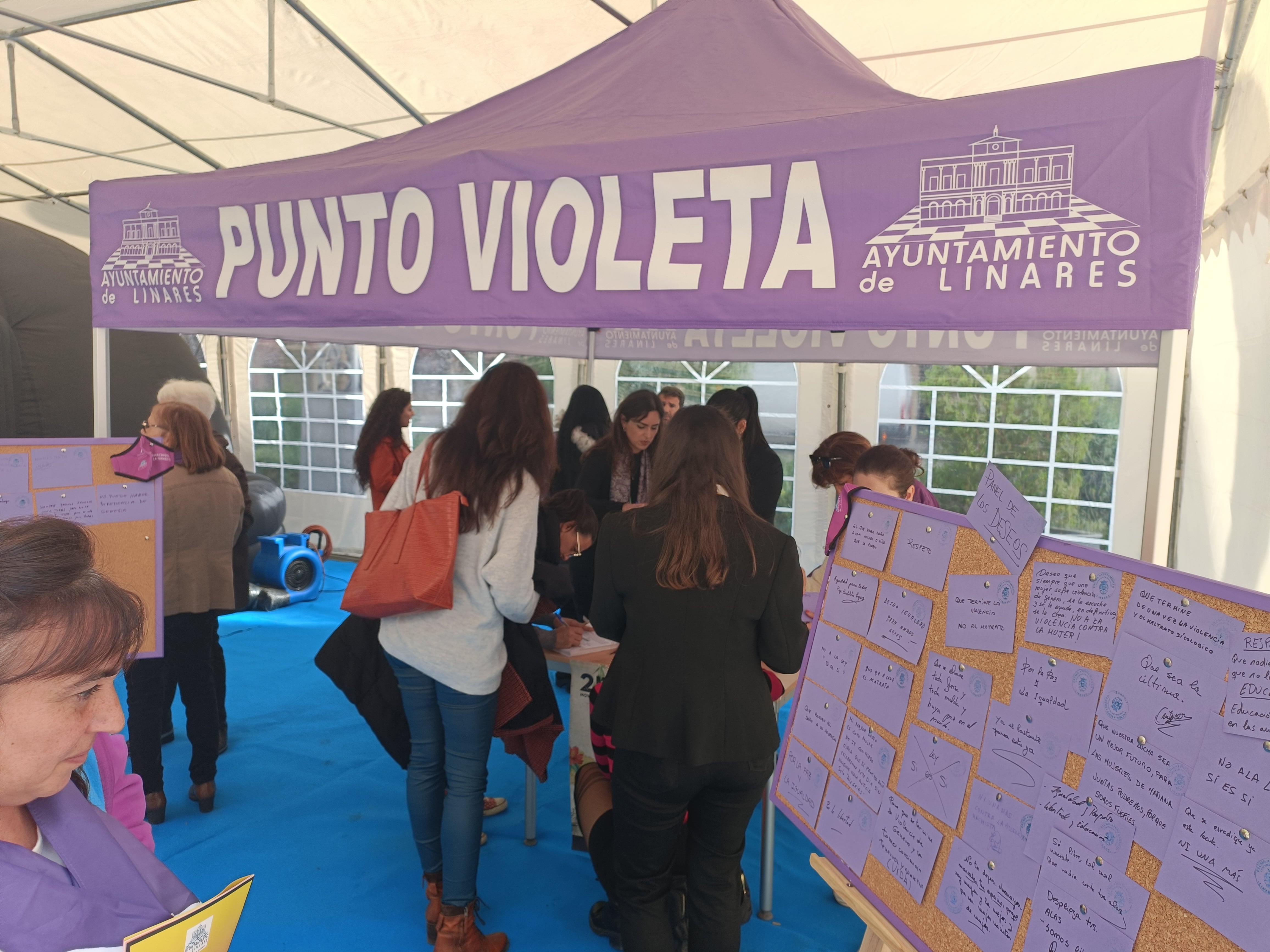 Punto Violeta en Linares