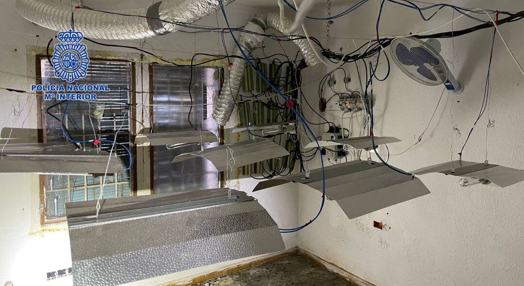 Imagen del interior de la vivienda en la que estaba el cultivo de marihuana