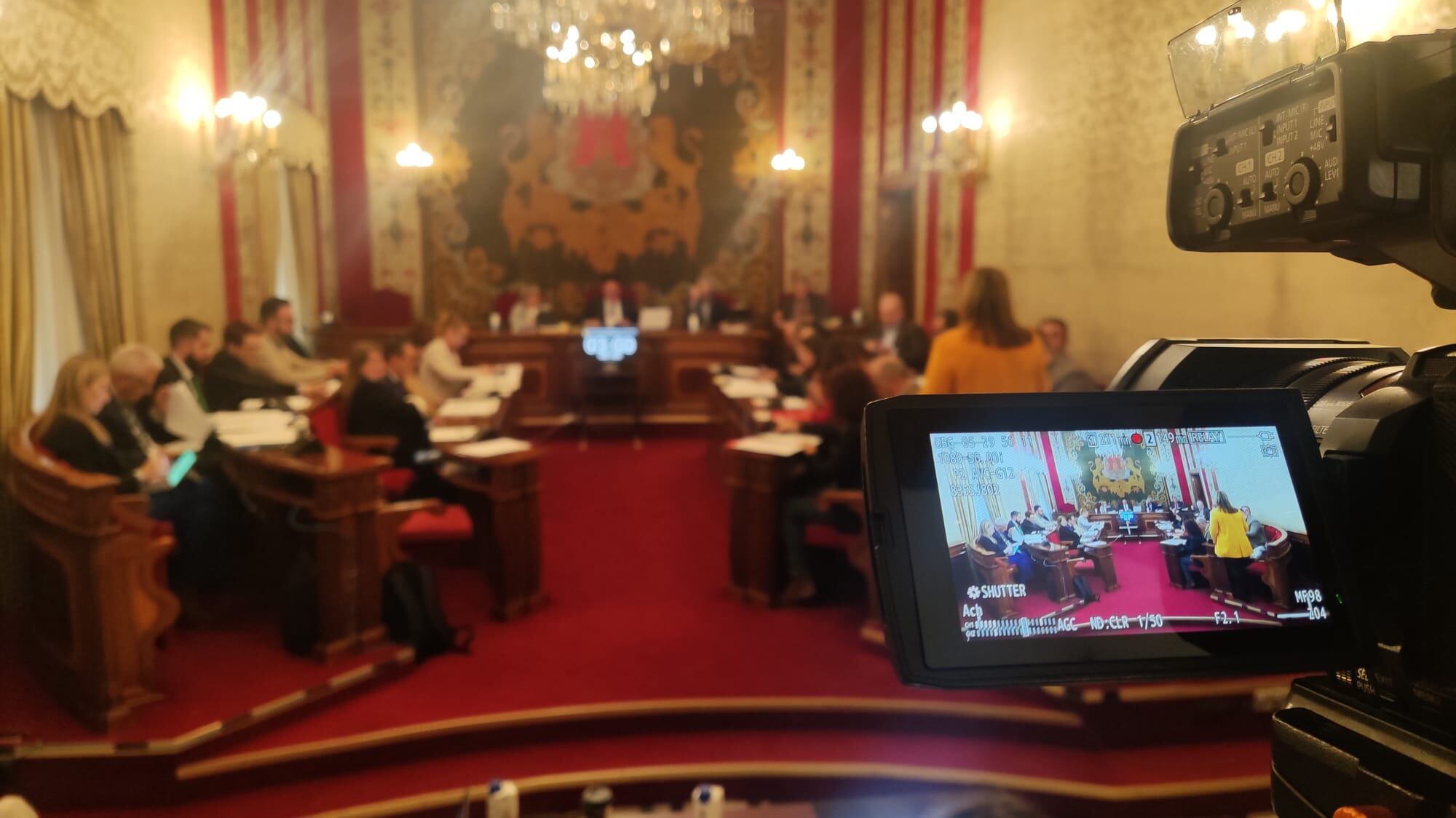 Sesión plenaria del mes de febrero