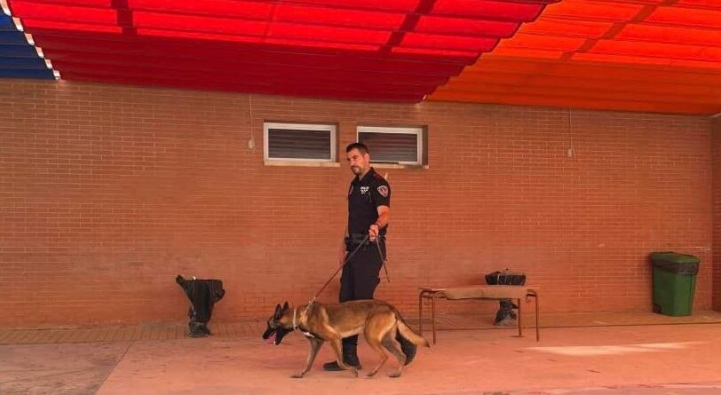 La Policía Local ha detenido en Lorca a un hombre y a una mujer por un presunto delito de tráfico de drogas y la unidad canina ha determinado que ella ocultaba cocaína en sus genitales.