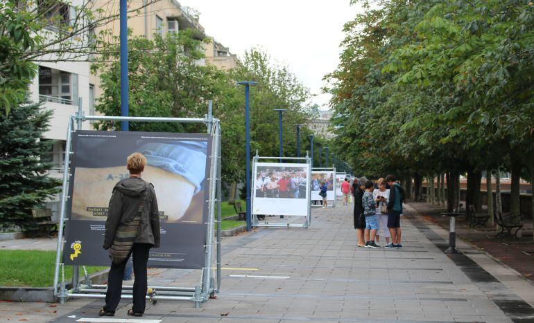 Vista de algunos de los paneles fotográficos que conforman la exposición &#039;La milla de la paz&#039;.