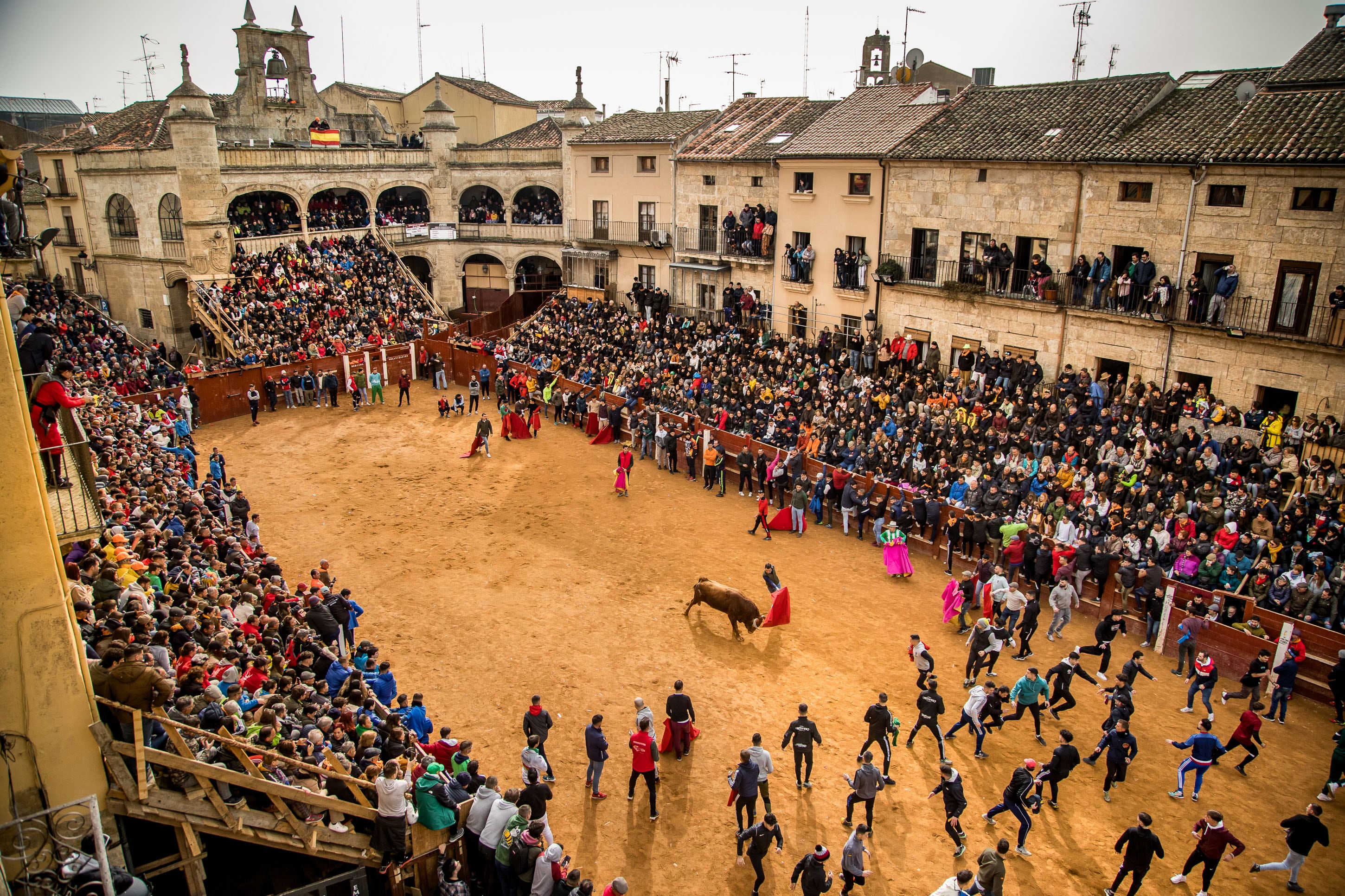 Festejos por el Carnaval del Toro de Ciudad Rodrigo /José Vicente, Ical.