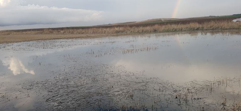 Una de las balsas de agua en Ol&iacute;as del Rey provocada por las fugas de la red 