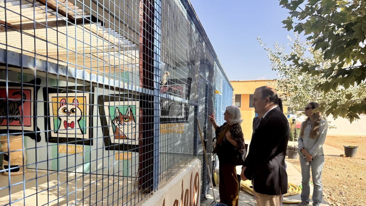 Finalizan los trabajos de mejora del Centro de Recogida de Animales Domésticos de Talavera