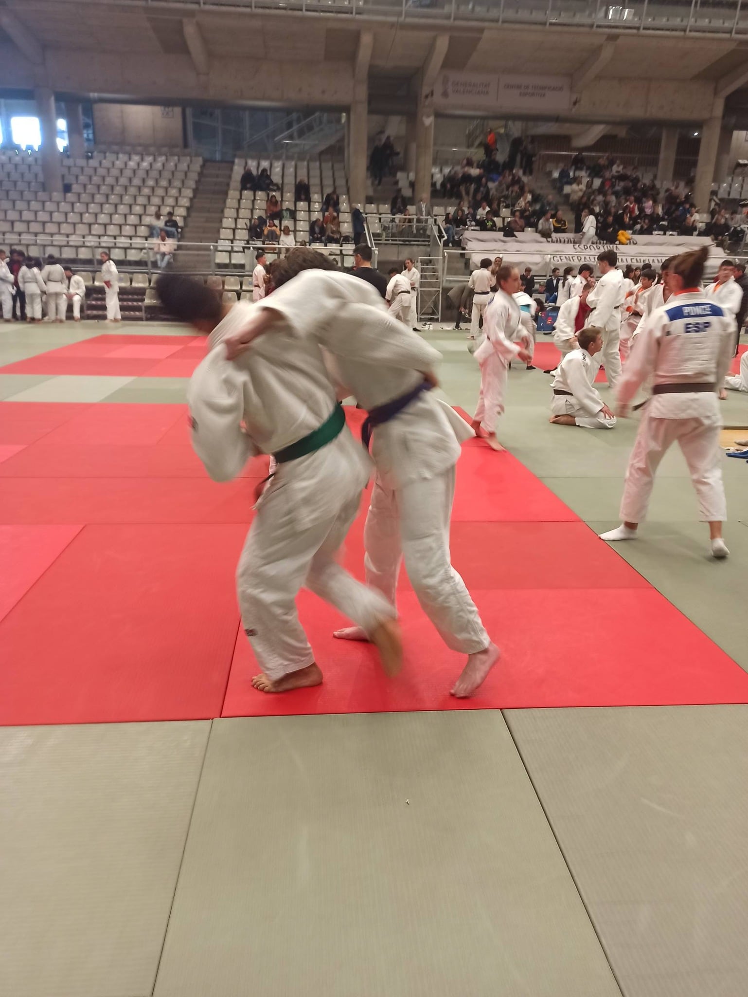 Judo Camv en Alicante