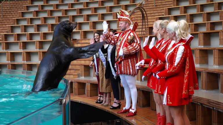 Miembros de la comitiva carnavalera saludan a una foca.