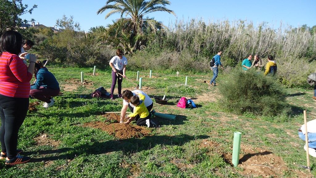 Voluntarios trabajando en la revegetación del Clot de Galvany