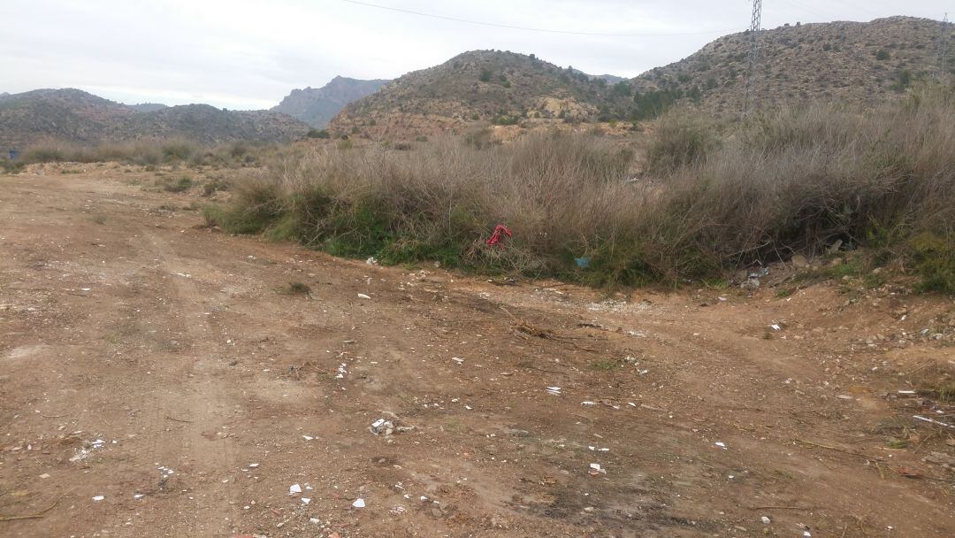 Paraje limpio tras la intervención municipal de Elda 