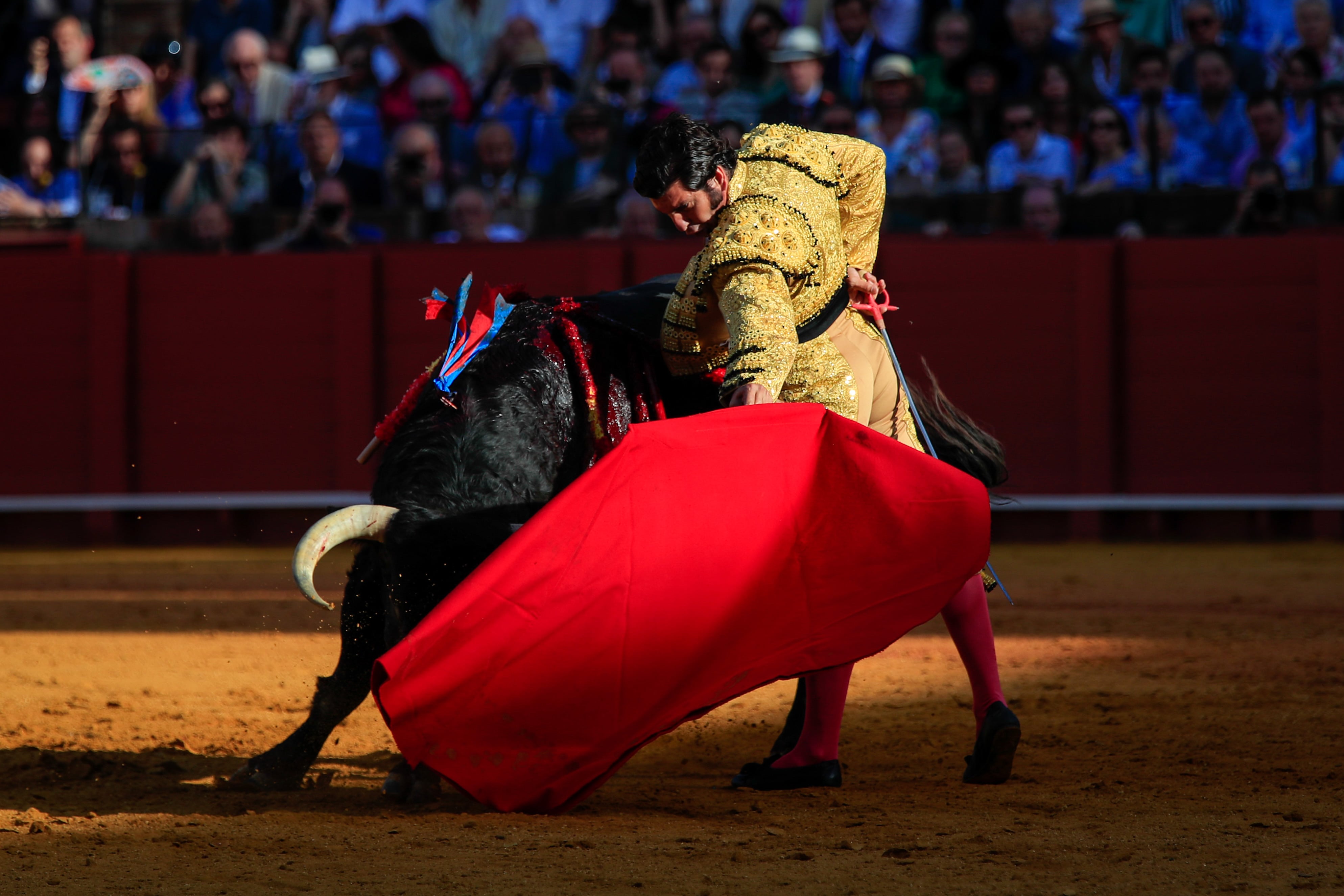 SEVILLA, 29/04/2023,- El diestro Morante de la Puebla con su primer toro, de la ganadería de El Torero, al que cortó una oreja, en el decimotercer festejo de abono de la Feria de Abril, este sábado en la Real Maestranza de Sevilla. EFE/ Julio Muñoz
