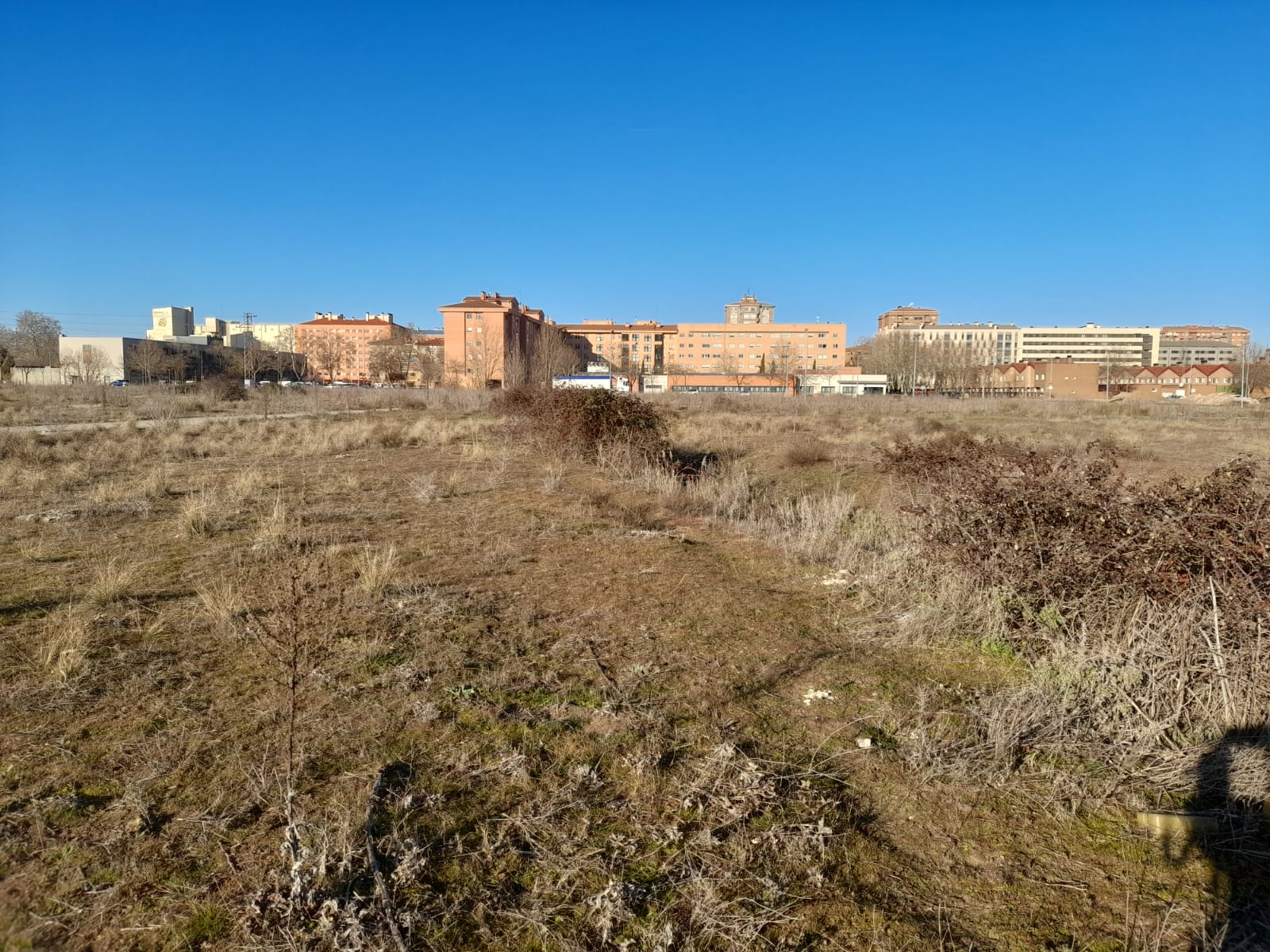 Terreno donde se construirá el futuro hospital de Aranda