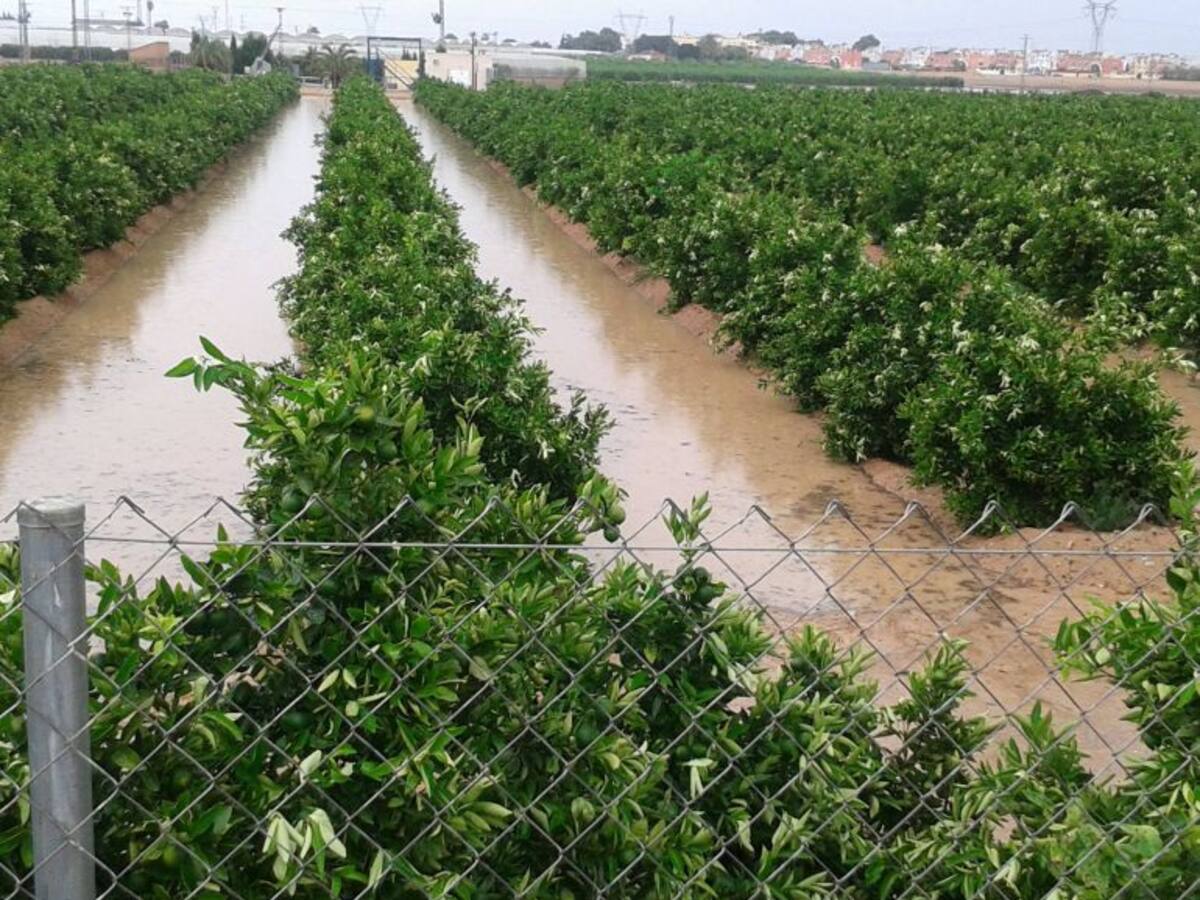 Lluvias muy beneficiosas