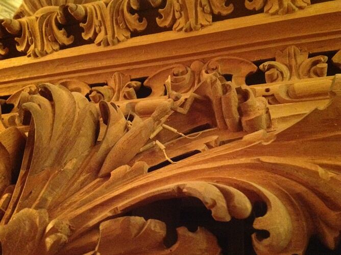 Detalle de la mantis religiosa en el costero izquierdo del nuevo paso.