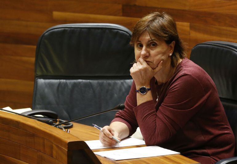 La consejera de Servicios y Derechos Sociales, Pilar Varela, en un pleno de la Junta General del Principado. 