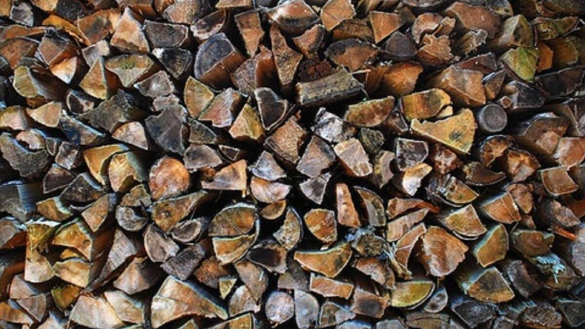 Alfonso Eirín en los Jueves del Autónomo