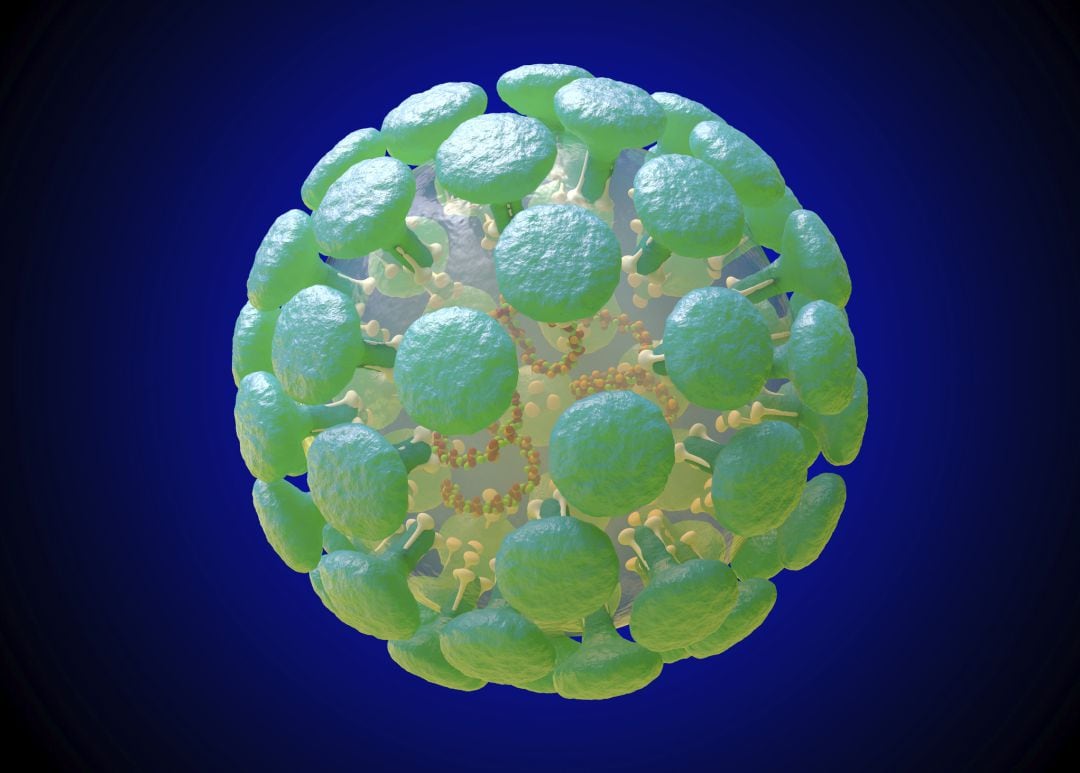 Coronavirus