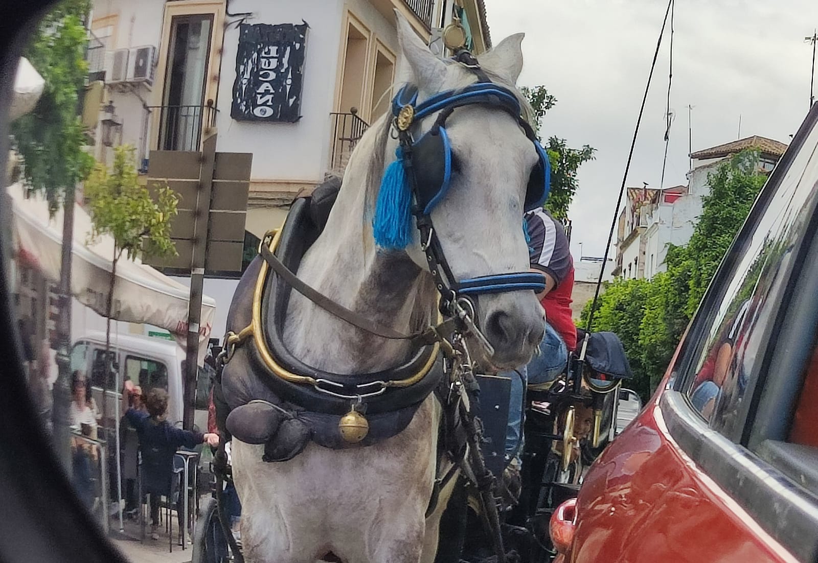 Coches de caballos en Córdoba