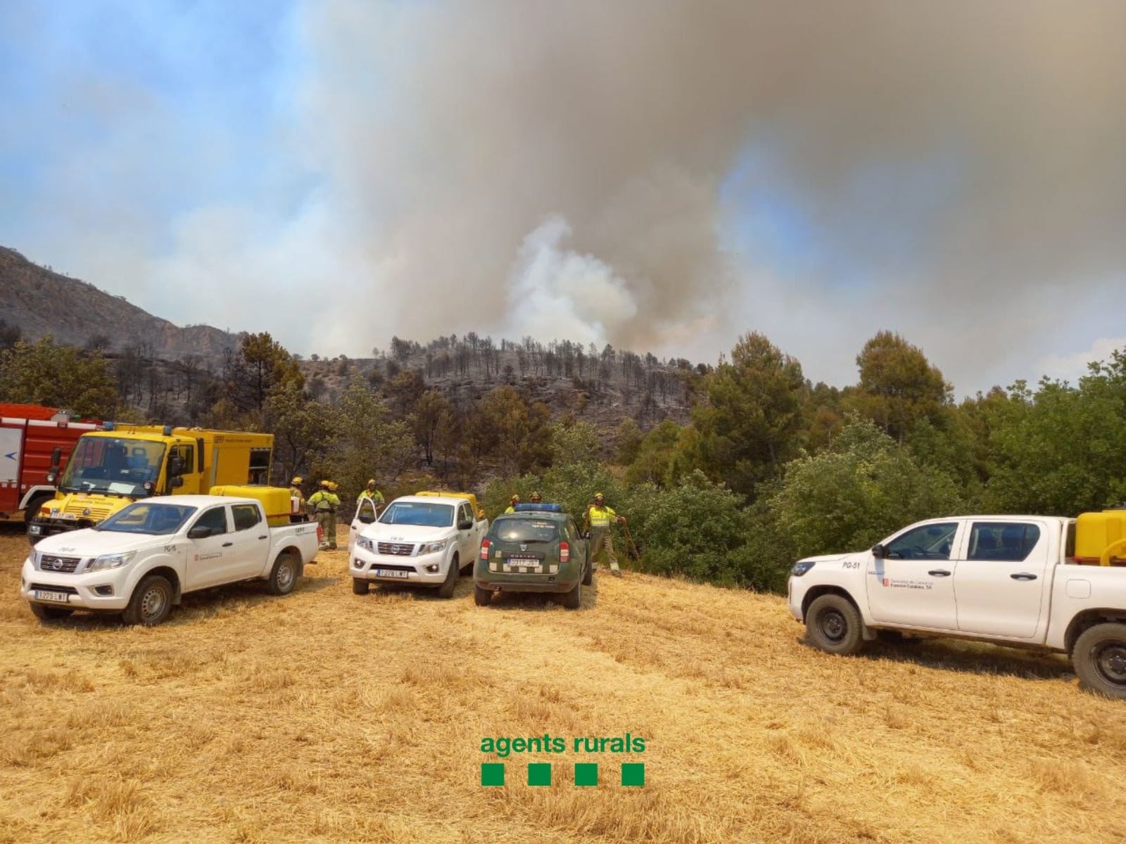 Parte del fuego se ha adentrado en el Espacio Natural Protegido de la Serra del Montsec.