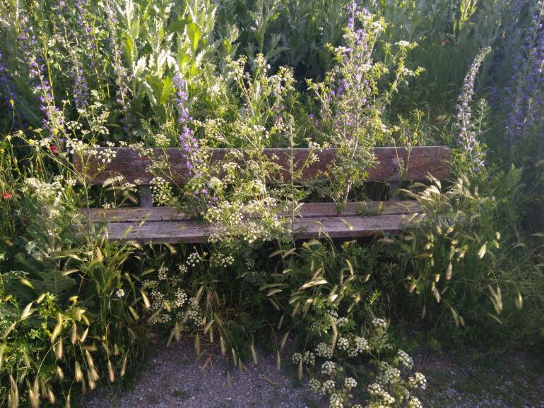 La maleza invade uno de los bancos de la senda peatonal de Sancti Spiritu