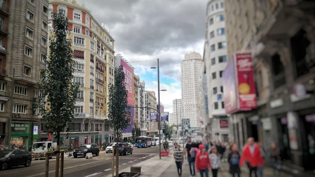 Árboles en Gran Vía