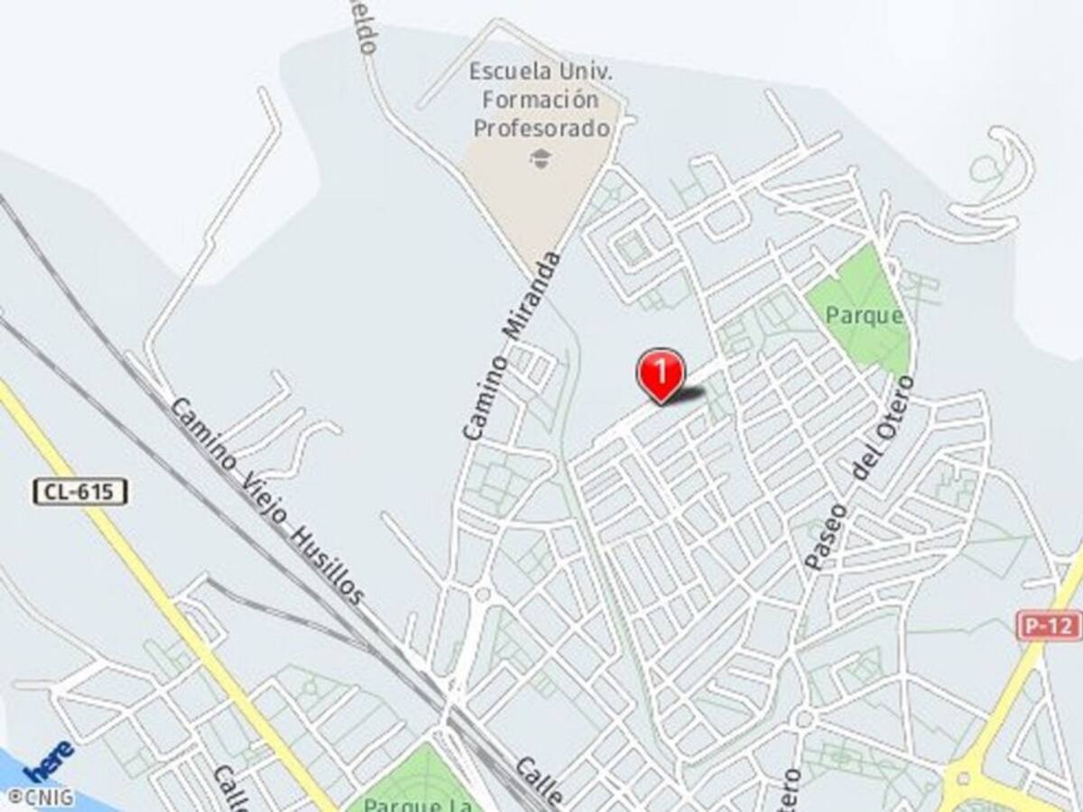 El conductor que se dio a la fuga tras atropellar a un joven tiene el carnet retirado por pérdida de puntos